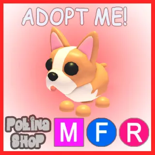 French Bulldog MFR