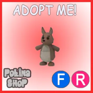 Kangaroo FR