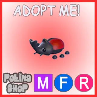 Rhino Beetle MFR