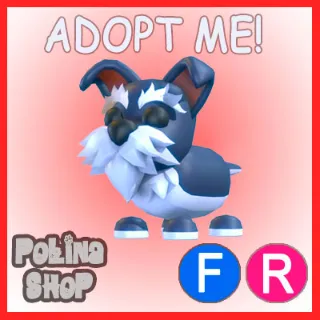 Mini Schnauzer FR