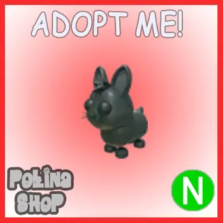 Amami Rabbit N