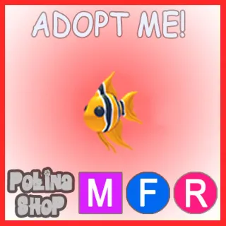 Angelfish MFR