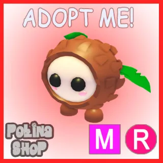 Coconut Friend MR