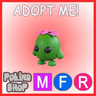 Cactus Friend mfr