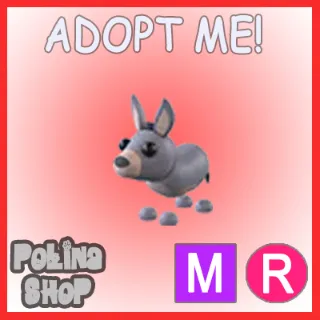 Donkey M