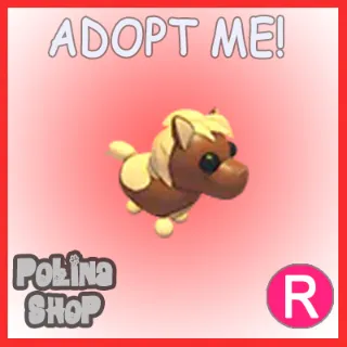 Shetland Pony Dark Brown R x4