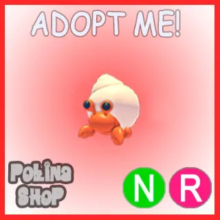 Hermit Crab NR