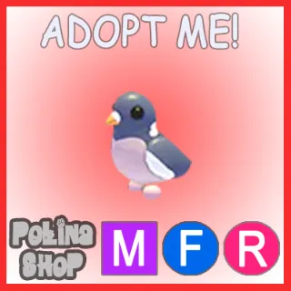 Wood Pigeon MFR