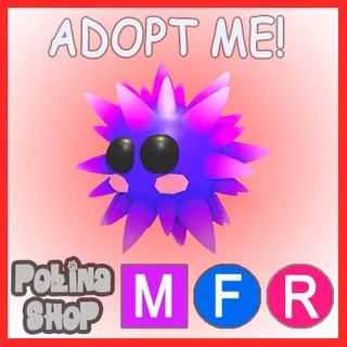 Urchin MFR