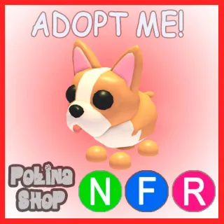 French Bulldog NFR