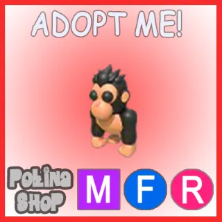 Gorilla MFR