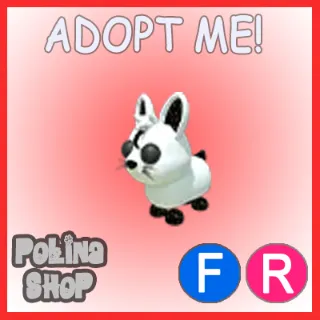 Moon Rabbit FR