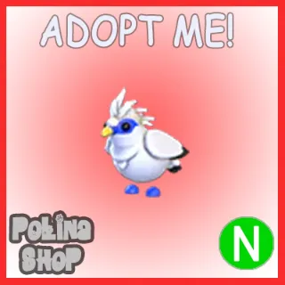 Bali Starling N x4