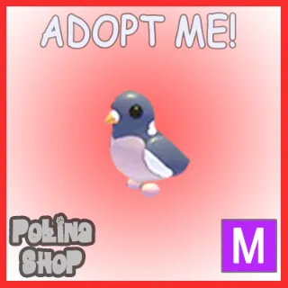 Wood Pigeon M