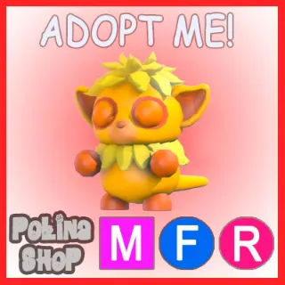 Island Tarsier MFR