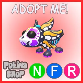 Sugar Axolotl NFR