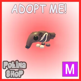 Giant Anteater M