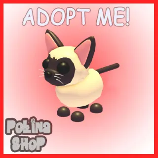 Siamese Cat