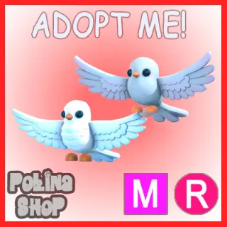 Turtle Doves MR