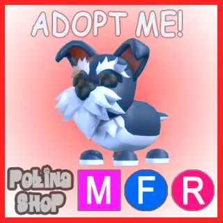 Mini Schnauzer MFR