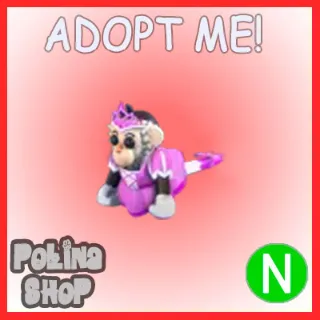 Princess Capuchin Monkey N