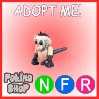 Capuchin Monkey NFR