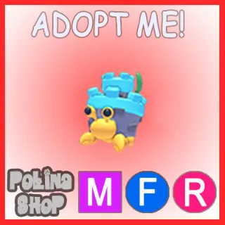 Castle Hermit Crab MFR