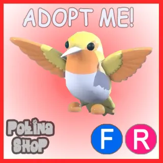 Golden Hummingbird FR