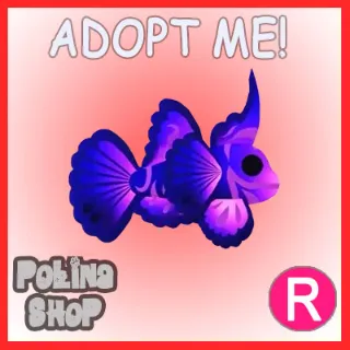 Singularity Pisces R