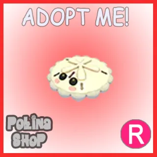 White Sand Dollar R