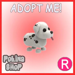 Dalmatian R