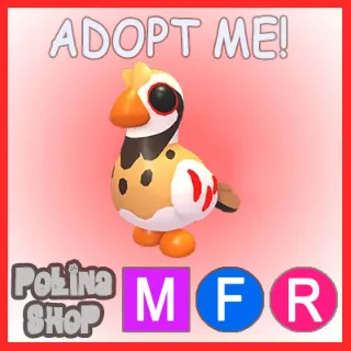 Partridge MFR