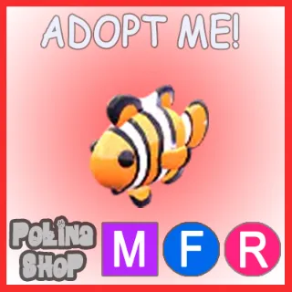 Clownfish MFR