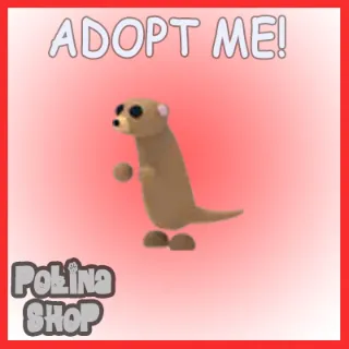 Meerkat