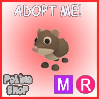 Shrew MR