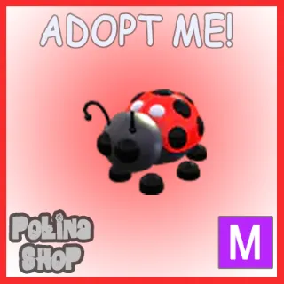 Ladybug M