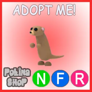 Meerkat NFR