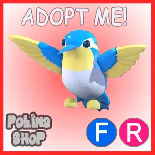 Diamond Hummingbird FR