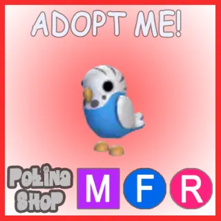 Parakeet MFR