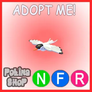 Arctic Tern NFR