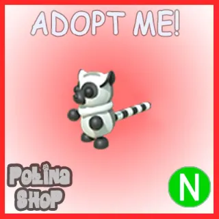 Ring-tailed Lemur N