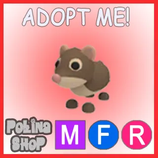 Shrew MFR