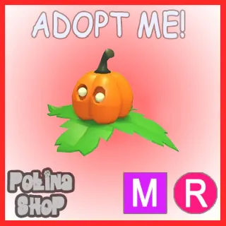 Pumpkin Friend MR