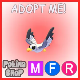 Seagull MFR
