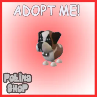 St Bernard x4