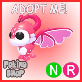 Cupid Dragon NR