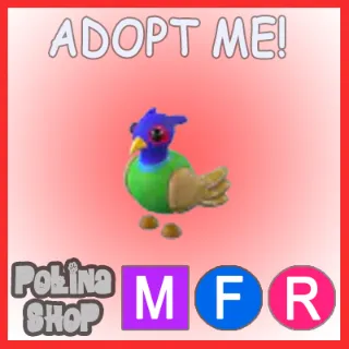 Green-Chested Pheasant MFR