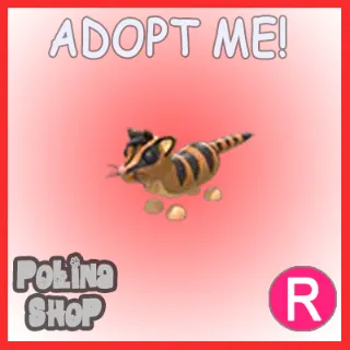 Banded Palm Civet R x4