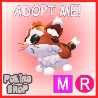 Munchkin Cat MR