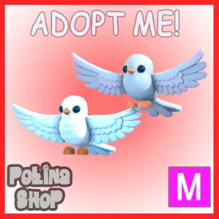 Turtle Doves M